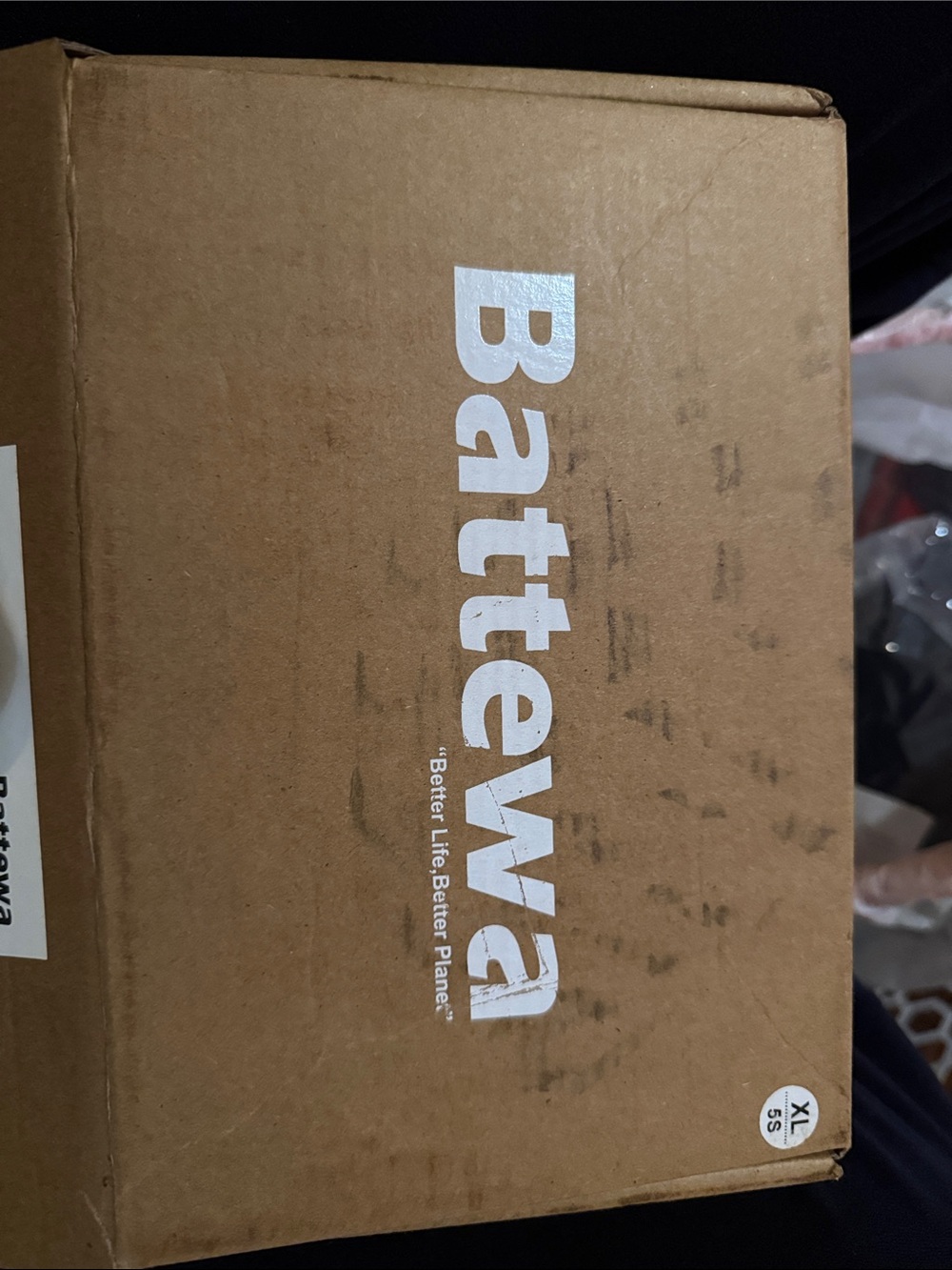 BATTEWA Incontinence Underwear for Women Washable, Leak Proof